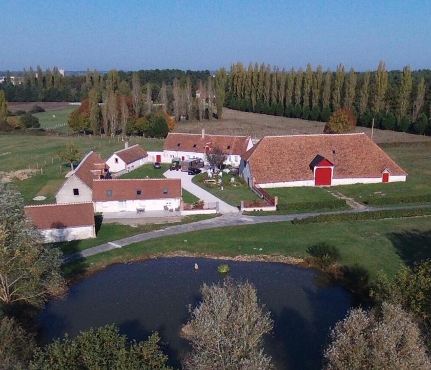 La Maison Des Biquettes Romorantin-Lanthenay Bagian luar foto